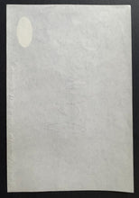 Load image into Gallery viewer, 43814287