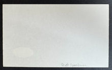 Load image into Gallery viewer, 45089898