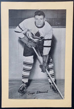 Load image into Gallery viewer, 44986696