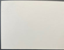 Load image into Gallery viewer, Jake Diekman Texas Rangers Game-Used 2015 ALDS Game 5 Locker Name Plate MLB Holo