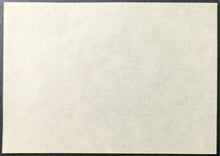 Load image into Gallery viewer, 2000 Ted Williams Hitters Hall Of Fame Induction Hand Painted Cachet MLB