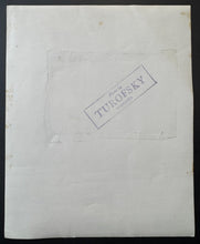 Load image into Gallery viewer, 44227621