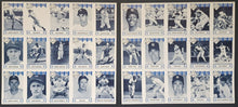 Load image into Gallery viewer, 1992 New York Yankees All Star MLB Baseball Vintage Player Card Set