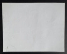 Load image into Gallery viewer, 44359444