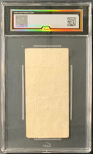 Load image into Gallery viewer, 45113788