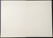 Load image into Gallery viewer, 44154234