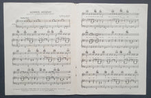 Load image into Gallery viewer, 43814324