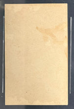 Load image into Gallery viewer, 47708729