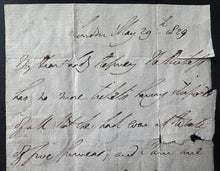 Load image into Gallery viewer, 44096601