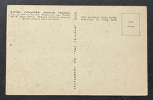 Load image into Gallery viewer, 46307561