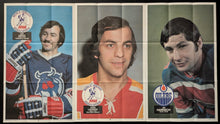 Load image into Gallery viewer, 1973-74 World Hockey Association Complete Set Of 20 Vintage Posters Gordie Howe