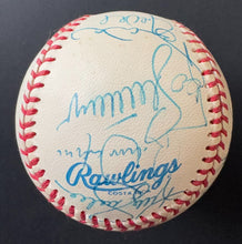 Load image into Gallery viewer, 43943710