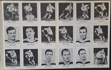 Load image into Gallery viewer, 1966 NHL Players Album + Coca Cola Card Set Hockey VTG Gordie Howe Tim Horton