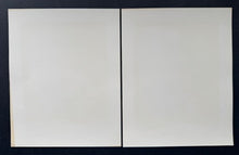 Load image into Gallery viewer, 44885705