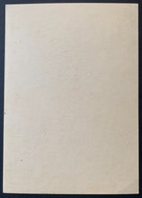 Load image into Gallery viewer, 47412060