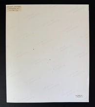 Load image into Gallery viewer, 47440789