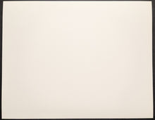 Load image into Gallery viewer, 47037422