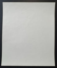 Load image into Gallery viewer, 47901319