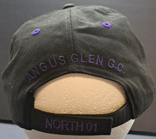 Load image into Gallery viewer, 2001 Telus Golf Skins Game Vintage Promotional Hat Angus Glen PGA Tour Mike Weir