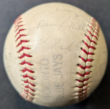 Load image into Gallery viewer, 47901317