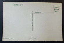 Load image into Gallery viewer, 43814273
