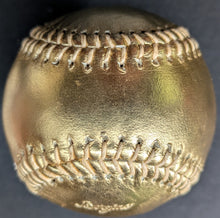 Load image into Gallery viewer, 45145845