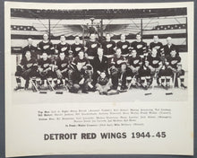 Load image into Gallery viewer, 43780196