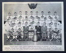 Load image into Gallery viewer, 43876606