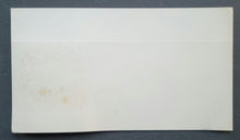 Load image into Gallery viewer, 43814284