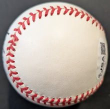 Load image into Gallery viewer, 46551977