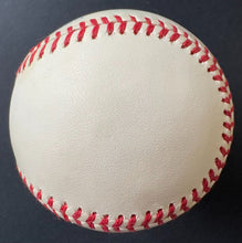 Load image into Gallery viewer, 43854238