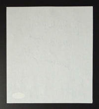 Load image into Gallery viewer, 47376775
