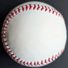 Load image into Gallery viewer, 47373773