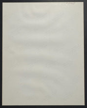 Load image into Gallery viewer, 43760295