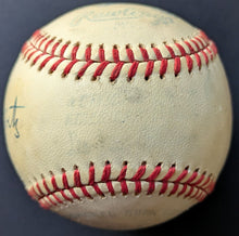 Load image into Gallery viewer, 43998206