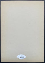 Load image into Gallery viewer, 45533884