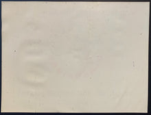 Load image into Gallery viewer, 44885626