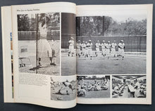 Load image into Gallery viewer, 44311013