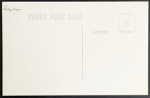 Load image into Gallery viewer, 44431762