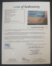 Load image into Gallery viewer, 43760329