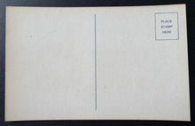 Load image into Gallery viewer, 44208587