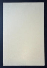 Load image into Gallery viewer, 47317906