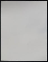 Load image into Gallery viewer, 43748478