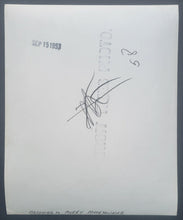 Load image into Gallery viewer, 43780177