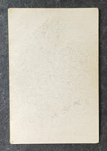 Load image into Gallery viewer, 47023742