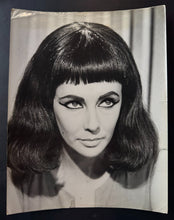 Load image into Gallery viewer, 45012278