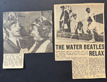 Load image into Gallery viewer, 43724579