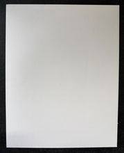 Load image into Gallery viewer, 47110684