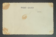 Load image into Gallery viewer, 45412458