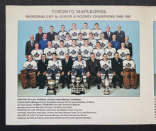 Load image into Gallery viewer, 45312958